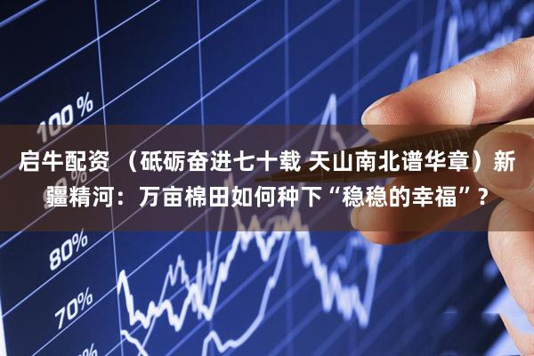启牛配资 （砥砺奋进七十载 天山南北谱华章）新疆精河：万亩棉田如何种下“稳稳的幸福”？