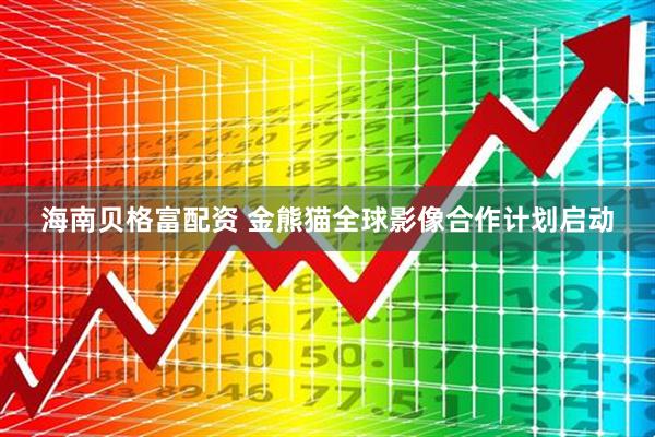 海南贝格富配资 金熊猫全球影像合作计划启动