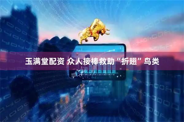 玉满堂配资 众人接棒救助“折翅”鸟类