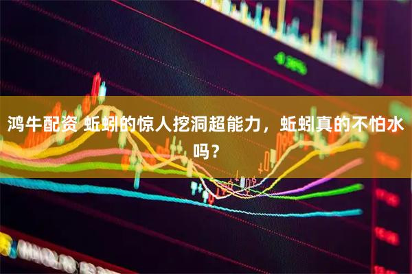 鸿牛配资 蚯蚓的惊人挖洞超能力，蚯蚓真的不怕水吗？