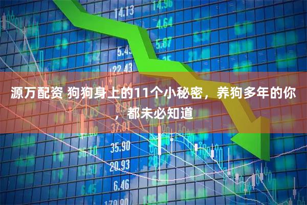 源万配资 狗狗身上的11个小秘密，养狗多年的你，都未必知道