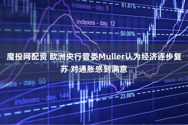 魔投网配资 欧洲央行管委Muller认为经济逐步复苏 对通胀感到满意