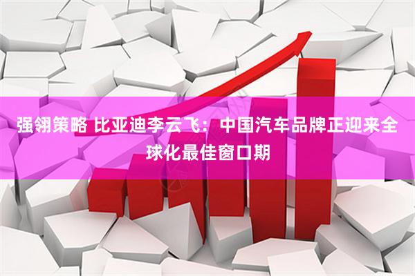 强翎策略 比亚迪李云飞：中国汽车品牌正迎来全球化最佳窗口期