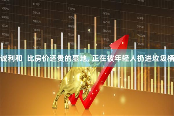 诚利和  比房价还贵的墓地, 正在被年轻人扔进垃圾桶